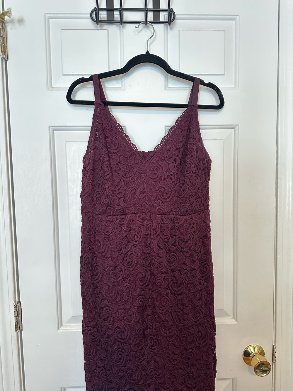 Torrid lace, V neck dress
